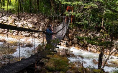 Alive, Awake, Aware—Walking Patagonia’s K Trek