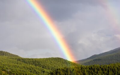 Beyond the W and O—Discover the K Trek