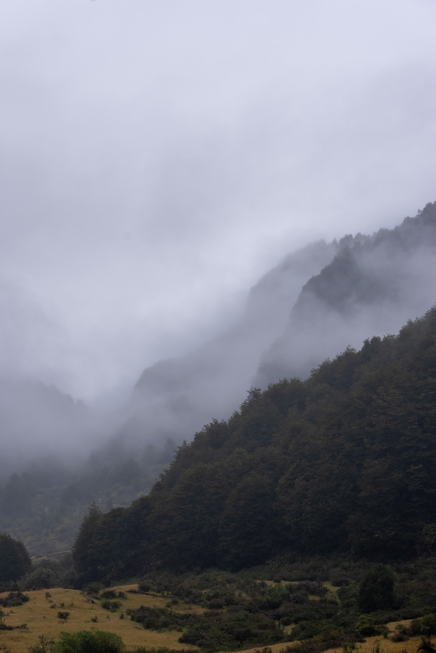 Mist drifts across the mountainside in a moody landscape shot